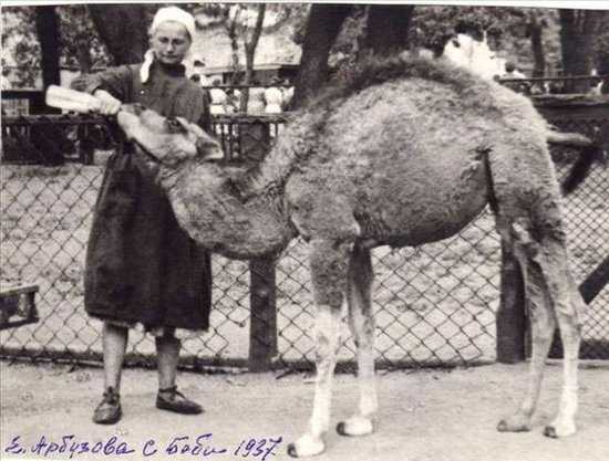 Старые фотографии Московского зоопарка в 1920 году