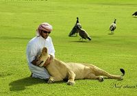 Один из самых красивых принцев мира – наследный принц Дубаи 