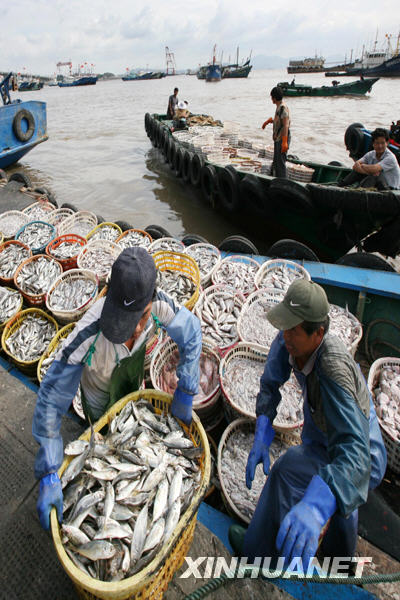 Рыбаки возвращаются с полными судами рыбы