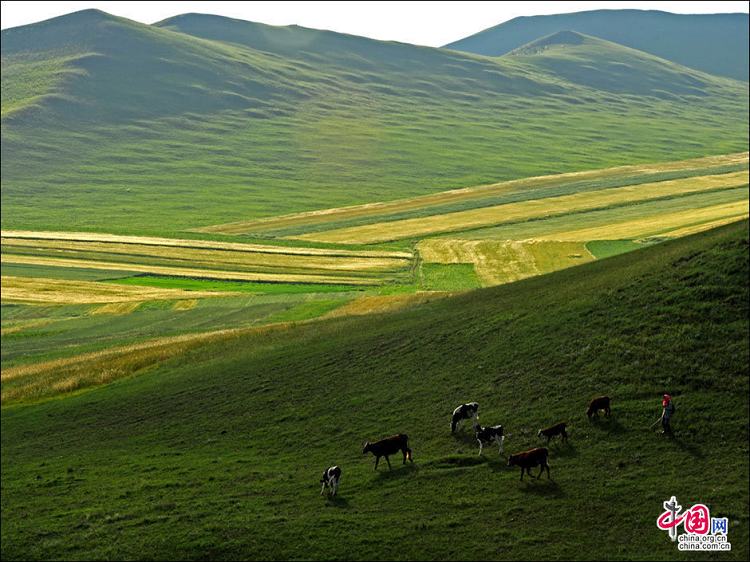 Уезд Долунь Внутренней Монголии является самым красивым «загородным садом» Пекина и Тяньцзиня