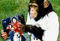 Орангутанг Майкла Джексона получил наследство от своего хозяина