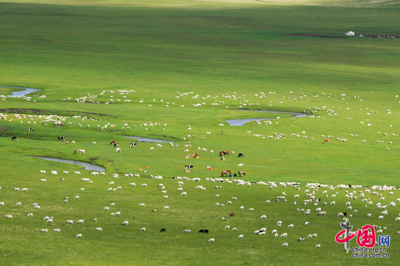 Пастбище Найлиньголэ Автономного района Внутренняя Монголия