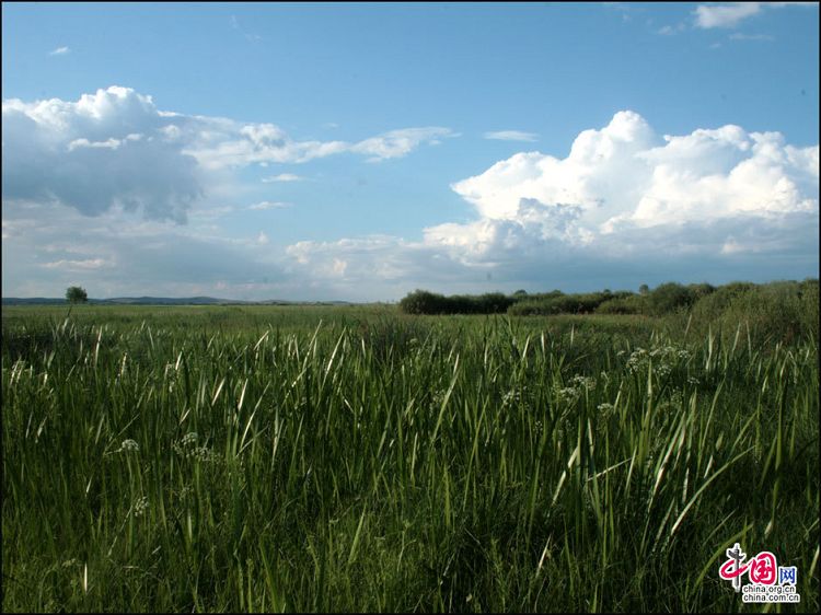 Пейзажи в районе истока реки Луаньхэ2