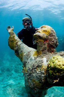 Морские животные в объективах фотоаппаратов