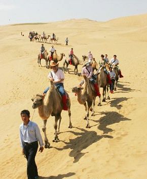 Путешествие по пустыне привлекает туристов