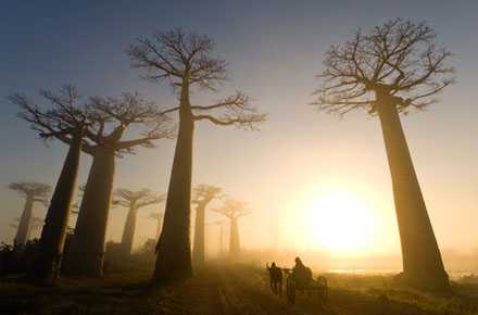  Классические фотографии журнала «National Geographic», собранные за последние три года 