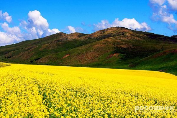 Прекрасная степь Уланьмаоду 