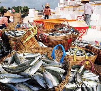 Активизация торговли морепродуктами в порту Таньмэнь провинции Хайнань