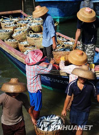 Активизация торговли морепродуктами в порту Таньмэнь провинции Хайнань