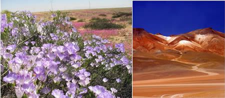 Пустыня Aтакама в Чили – самая сухая пустыня