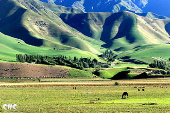 Или-Казахский автономный округ в Синьцзян-Уйгурском автономном районе