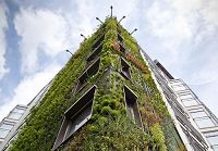 Французский ботаник Патрик Блан создал удивительные вертикальные сады на стенах