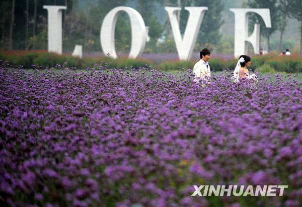 Пекинская осень – романтический сезон для влюбленных 