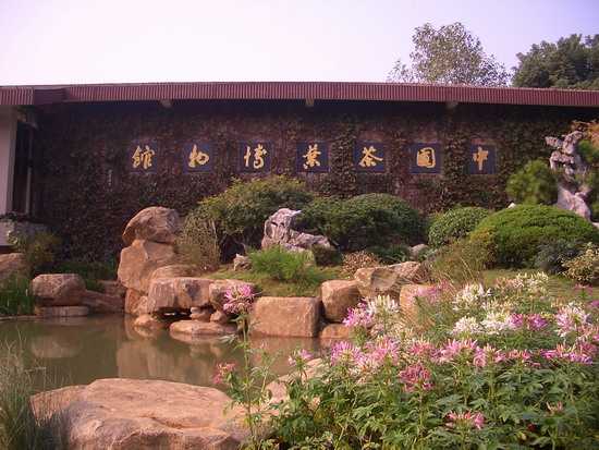 Китайский национальный музей чая 