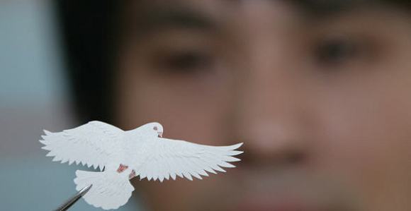 Десять тысяч бумажных «голубей мира» встречают 60-летие КНР