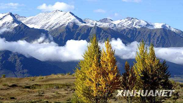 Чарующие осенние пейзажи района Шигадзе Тибетского автономного района 