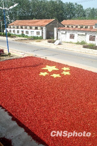 В преддверии празднования Дня образования КНР крестьяне создали государственный флаг КНР из красного перца и кукурузных початков.