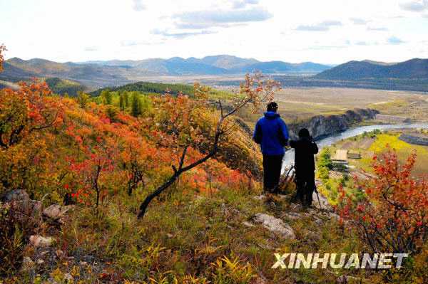 Живописные осенние пейзажи туристического района Чайхэ 