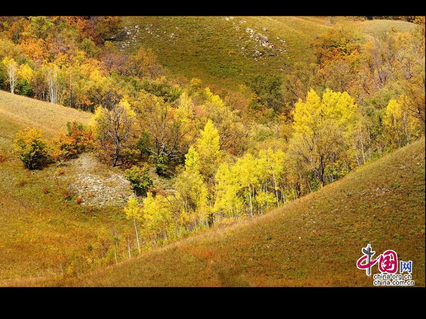 Сказочная осень на горном хребте Большой Хинган