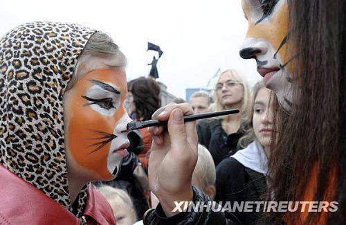 В России прошел Фестиваль тигров