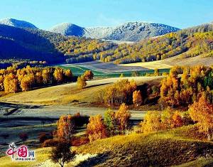 Чарующие осенние пейзажи в степи Башан провинции Хэбэй