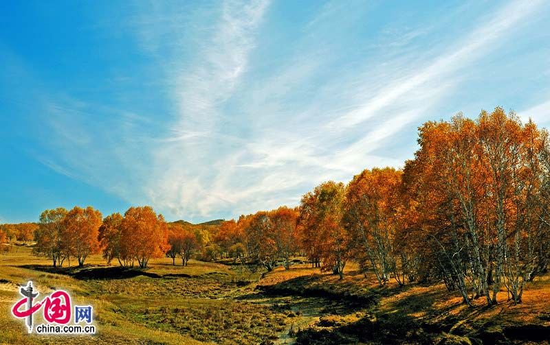 Красивые пейзажи степи Башан 2