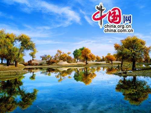 Прекрасные пейзажи: водно-болотные угодья Китая 
