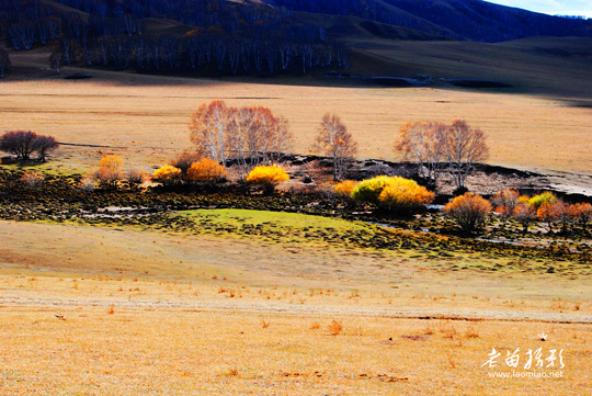 Красивые пейзажи в степи Внутренней Монголии КНР 