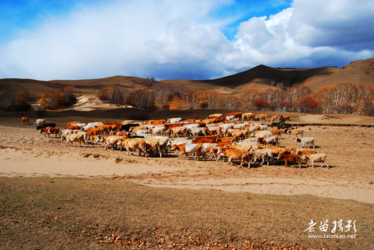 Красивые пейзажи в степи Внутренней Монголии КНР 