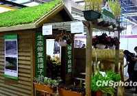 Оригинальный экологически чистый дом на Международной архитектурной выставке в Пекине