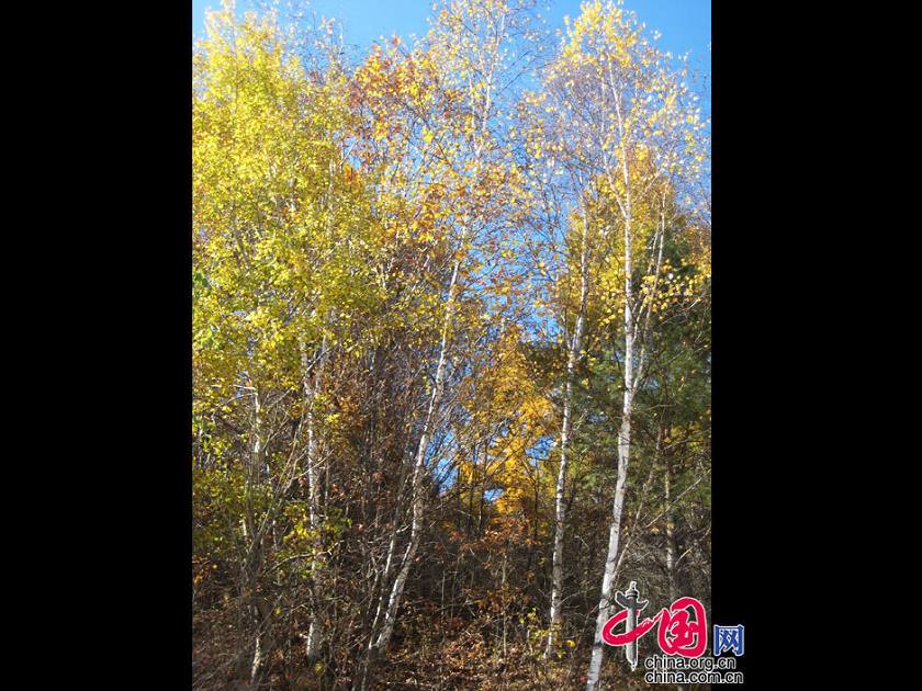 Осенние пейзажи на севере Китая