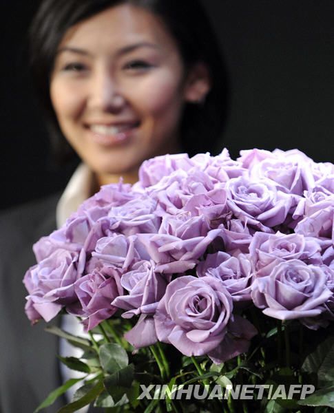 В Японии удачно выращена трансгенная синяя роза
