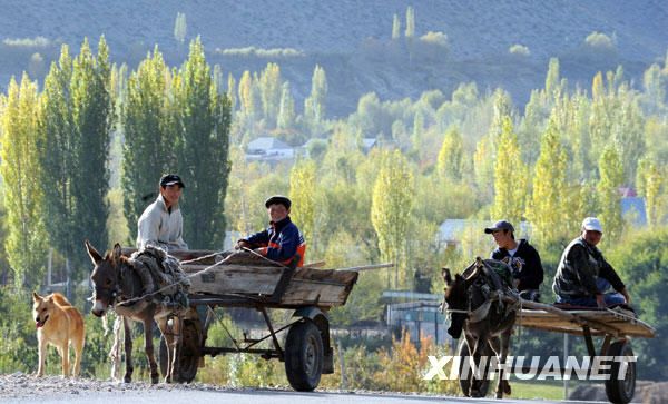Чарующий осенний пейзаж Киргизии 