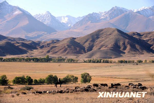 Чарующий осенний пейзаж Киргизии 