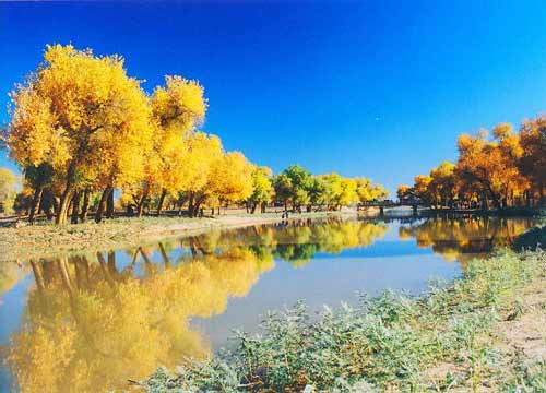 Золотая осень