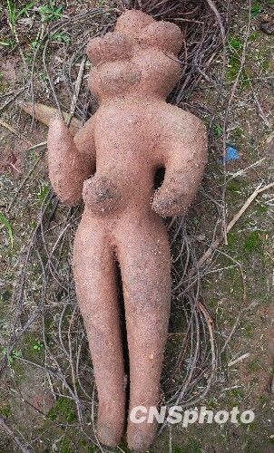 Сычуаньский крестьянин выкопал клубень в виде человека 