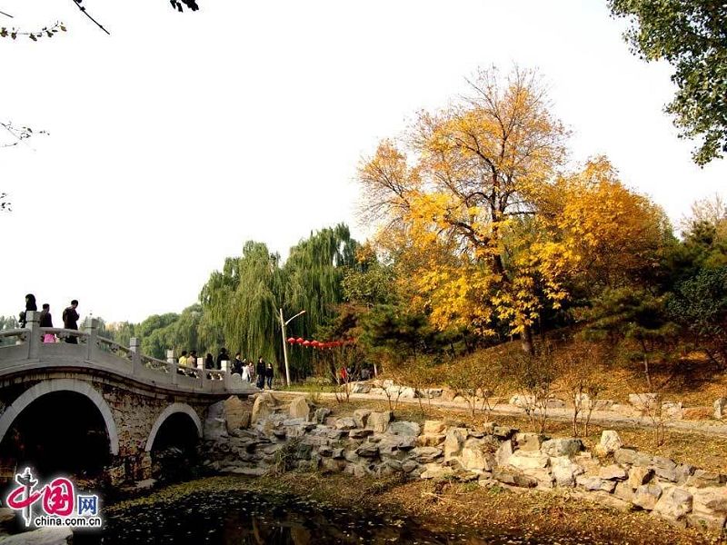 Осенние пейзажи в парке «Юаньминъюань»4