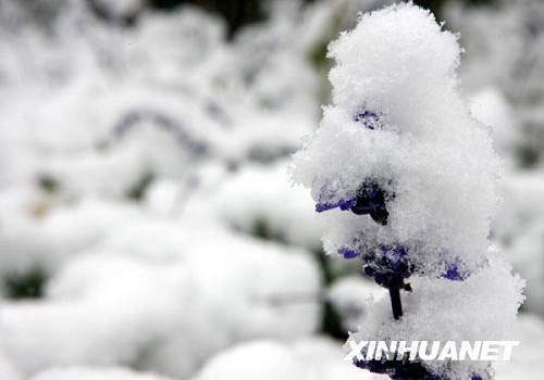 Первый снег в Пекине