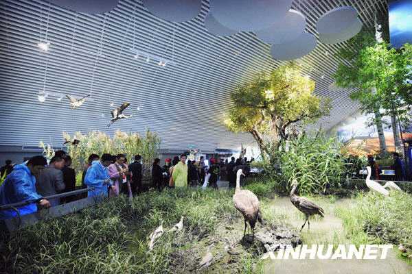 Открытие Китайского музея водно-болотных угодий в городе Ханчжоу 
