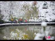 Государственный лесопарк Бэйгун находится северо-западнее района Фэнтай Пекина, в 20 километрах от центра города.