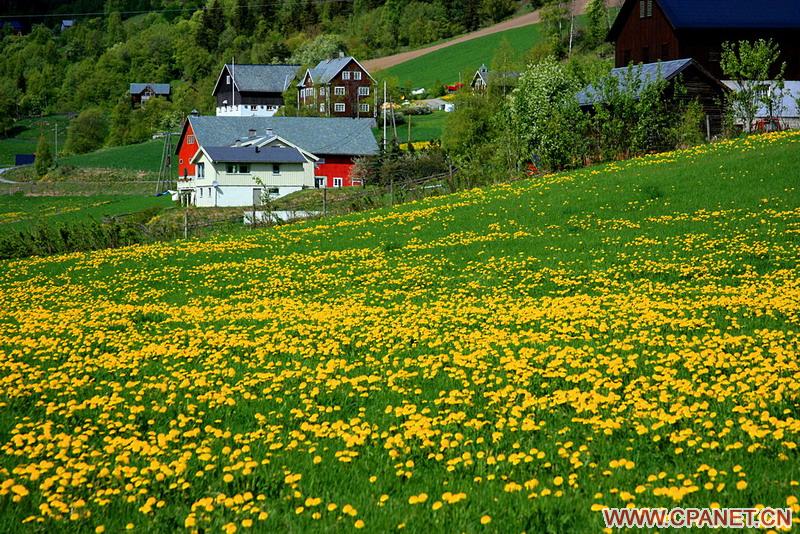 Чудесные пейзажи, снятые китайским фотографом Лю Де 4