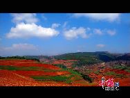 Чарующие пейзажи краснозема в провинции Юньнань 