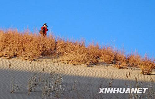 Провинция Цинхай: осенняя пустыня привлекает туристов