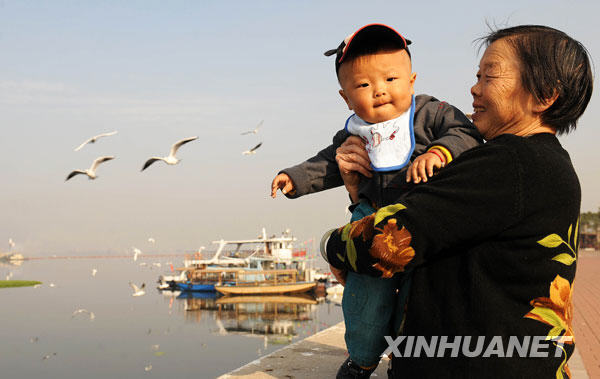 Чудесные пейзажи города Куньмин: сибирские чайки