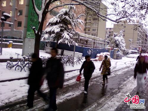 10 ноября в Пекине прошел второй крупный снегопад 