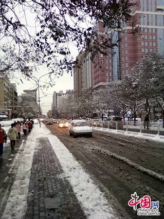 10 ноября в Пекине прошел второй крупный снегопад 