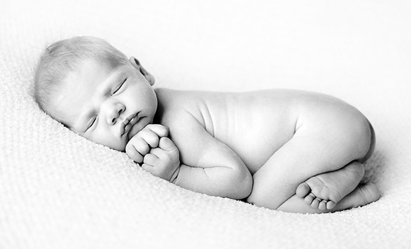 Милые новорожденные, снятые Трэйси Рэйвер 2