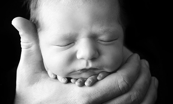 Милые новорожденные, снятые Трэйси Рэйвер 3