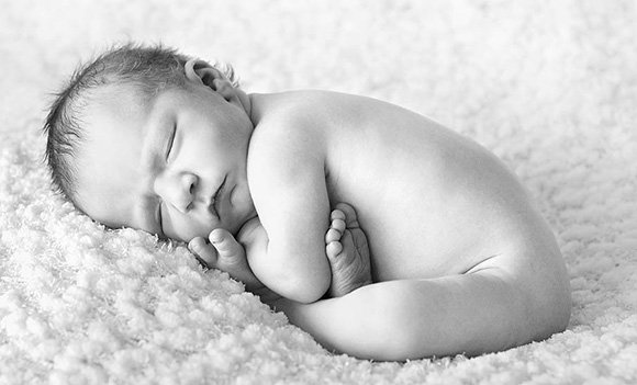 Милые новорожденные, снятые Трэйси Рэйвер 13