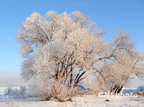 Красивая изморозь на участке пограничной реки Хэйлунцзян (Амур) между Китаем и Россией 